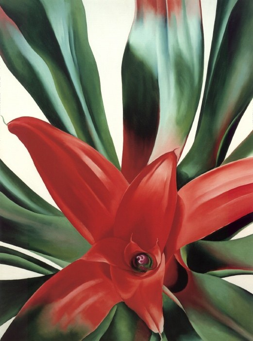 Georgia O'Keeffe Leaves of a Plant